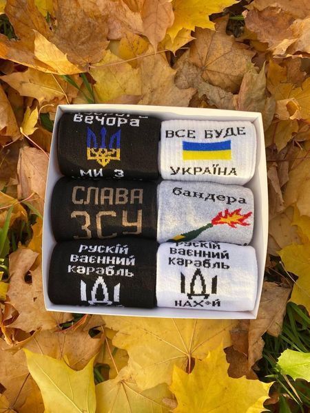 Бокс чоловічих патріотичних шкарпеток на 6 пар 41-45 р в подарунковій коробці із стрічкою весна-осінь