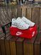 Кросівки Nike P-6000 Reflective T, біло-сірі (весна-літо) 3269-7 фото 7
