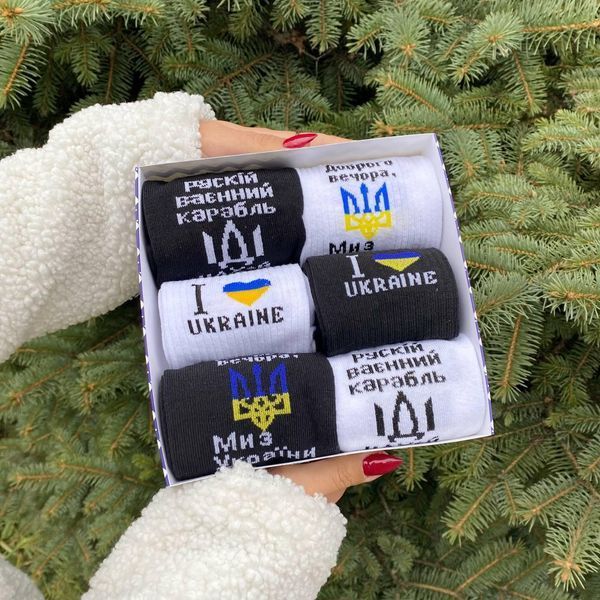 Новорічний подарунковий Бокс чоловічих патріотичних шкарпеток на 6 пар 40-45 р