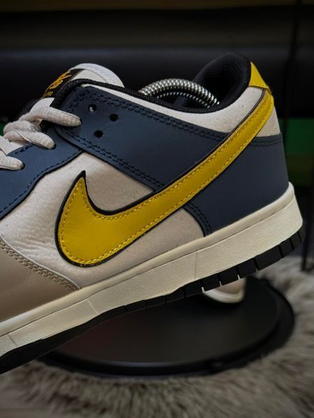Кросівки Nike SB Dunk Low, кольорові