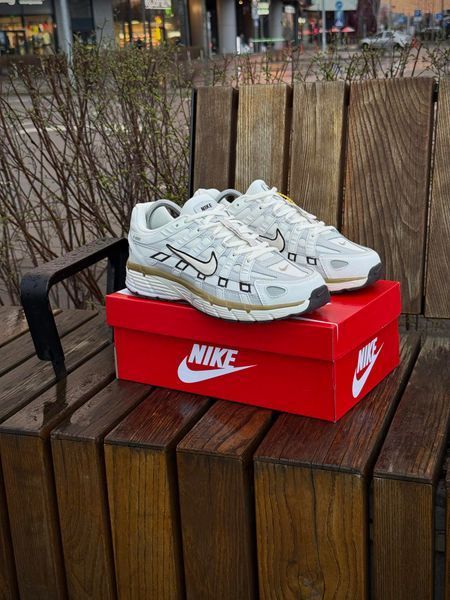 Кросівки Nike P-6000 Reflective T, біло-сірі (весна-літо)