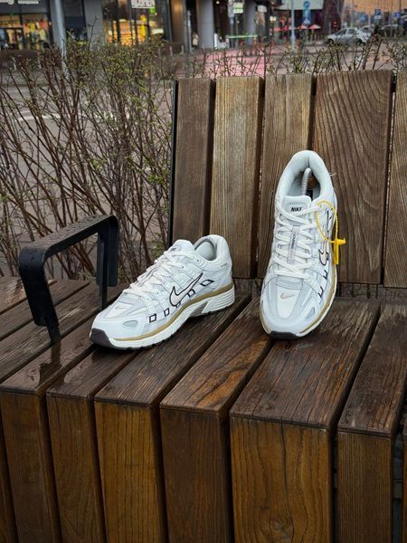 Кросівки Nike P-6000 Reflective T, біло-сірі (весна-літо)