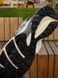 Кросівки Asics Gel Kahana 8, світлі (сітка) 2755-15 фото 9