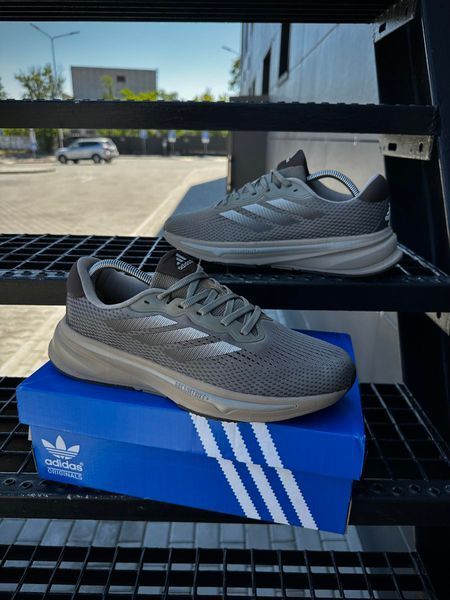 Кросівки Adidas Supernova Rise (Dreamstrike +)