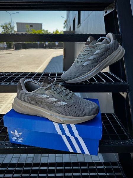 Кросівки Adidas Supernova Rise (Dreamstrike +)