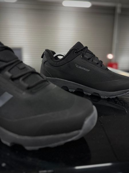 Термо Кросівки Adidas Terrex Voyager
