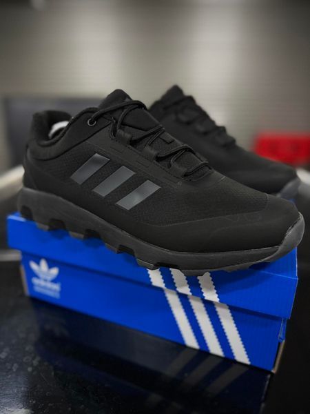 Термо Кросівки Adidas Terrex Voyager