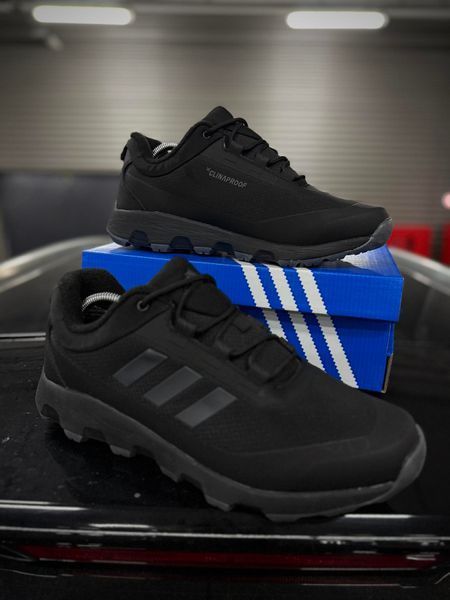Термо Кросівки Adidas Terrex Voyager