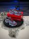 Кросівки New Balance 9060, синьо/бордові 821-5 фото 8