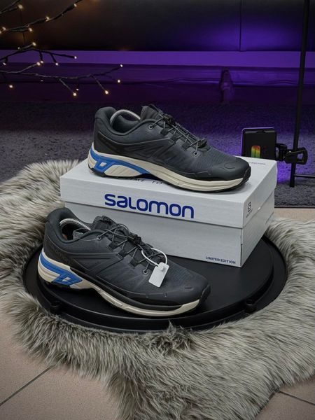 Кросівки Salomon XT WINGS 2, сірі
