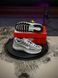 Кросівки Nike P-6000 Reflective T, сірі 3269-5 фото 10
