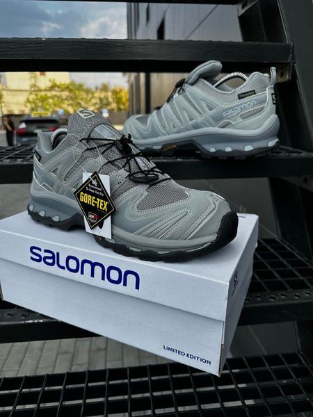 Кросівки Salomon XA Pro Street (сірі)