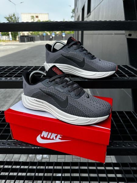 Кросівки Nike ZOOMx Pegasus FLYKNIT (d. gray)