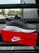 Кросівки Nike ZOOMx Pegasus FLYKNIT (d. gray) 3080-2 фото 1