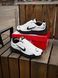 Кросівки Nike Initiator, біло чорні (сітка, літні) 3083-28 фото 2