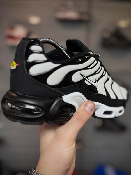 Кросівки Nike Air TN Terrascape Plus (біло чорні)