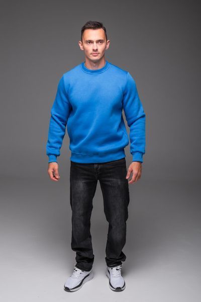 Світшот чоловічий базовий Casual на флісі блакитний