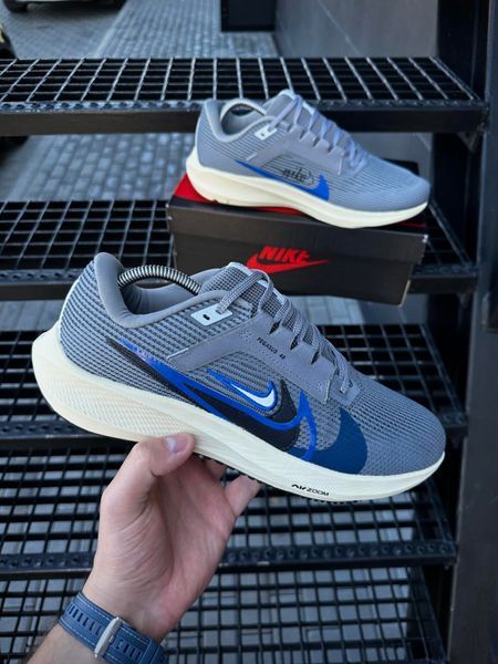 Кросівки Nike Zoom Pegasus 40 (d. gray)