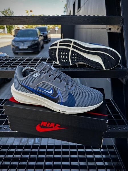 Кросівки Nike Zoom Pegasus 40 (d. gray)