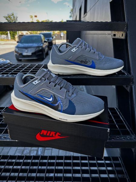Кросівки Nike Zoom Pegasus 40 (d. gray)