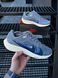 Кросівки Nike Zoom Pegasus 40 (d. gray) 0026-9 фото 3