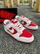 Кросівки Nike SB Dunk (white & red) 2253-11 фото 10