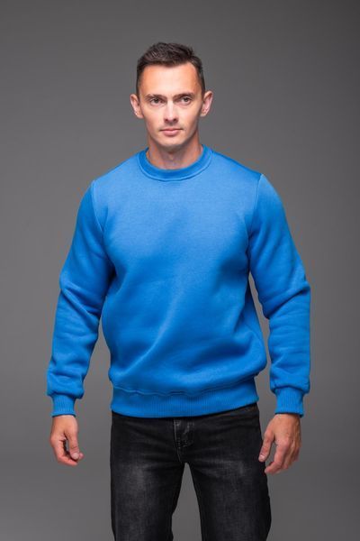 Світшот чоловічий базовий Casual на флісі блакитний