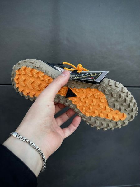 Кросівки Nike ACG Mountain Fly (світлі)