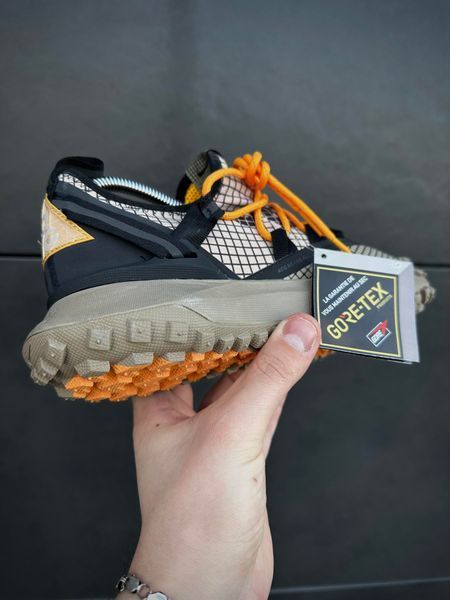 Кросівки Nike ACG Mountain Fly (світлі)