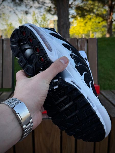 Кросівки Nike Air TN Plus біло-чорні (сіточка)