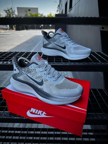 Кросівки Nike Running Quest 6 T (світло сірі)