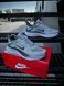 Кросівки Nike Running Quest 6 T (світло сірі) 8683-6 фото 6