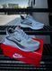 Кросівки Nike Running Quest 6 T (світло сірі) 8683-6 фото 9