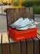 Кросівки Nike Initiator, біло сірі (сітка, літні) 0102-9 фото 2