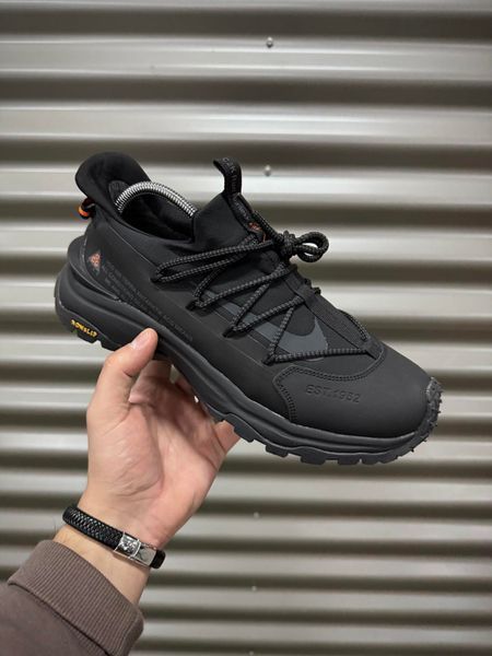 Термо Кросівки Nike ACG Air Terra Antarctic