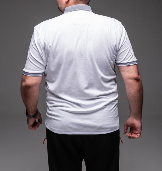 Футболка поло чоловіча біла батал 6XL&ndash;9XL