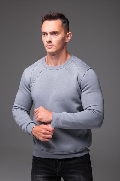 Світшот чоловічий базовий на флісі сірий
