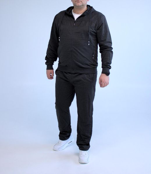 Спортивний костюм чоловічий з капюшоном , великі розміри батал , Сірий 2145 сір фото