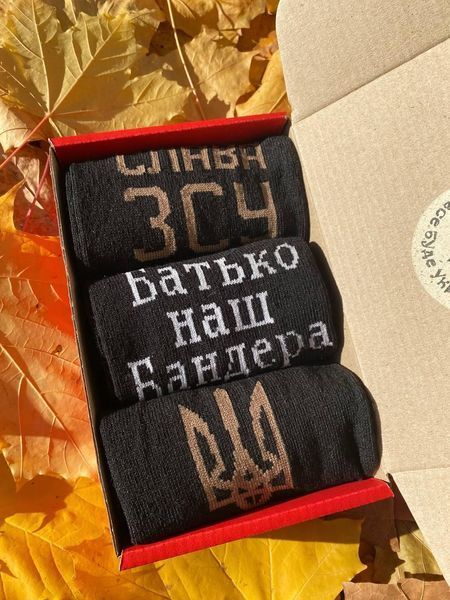 Бокс чоловічих патріотичних шкарпеток 41-45 3 пари в червоній коробці весна-осінь-літо
