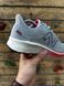 Кросівки New Balance Fresh Foam 860 (світло сірі) 636-3 фото 4