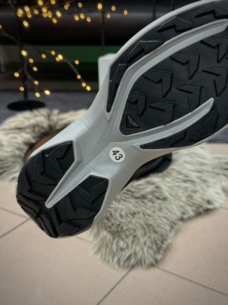 Кросівки Salomon XT PURE ADVANCED, сір