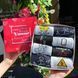 Бокс чоловічих шкарпеток 40-45 р на 8 пар у подарунковій коробці Ч8бокс055 фото 6