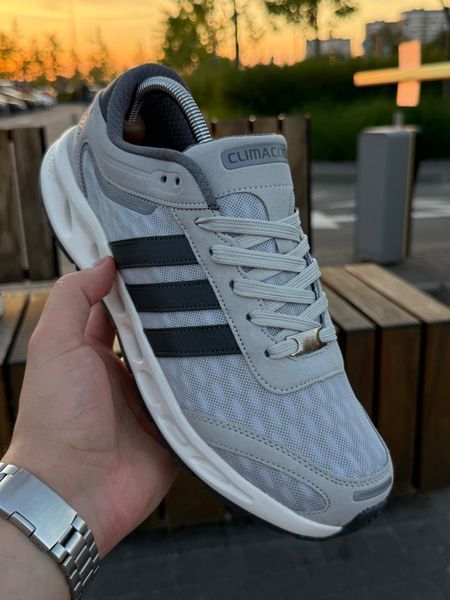 Кросівки Adidas Climacool (світло сірі, літні)