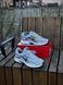 Кросівки Nike Initiator, сірі (сітка, літні) 0031-6 фото 10