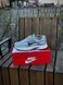 Кросівки Nike Initiator, сірі (сітка, літні) 0031-6 фото 4