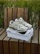 Кросівки Asics Gel NYC, світлі 108-2 фото 9