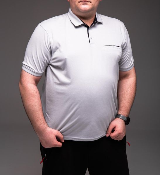 Футболка поло чоловіча світло-сіра батал 6XL&ndash;9XL
