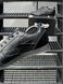 Кросівки Reebok Classic (all black) 5348-2 фото 7