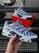 Кросівки Nike Air TN Plus Drift (сірі & фіолет) 0020-7 фото 1
